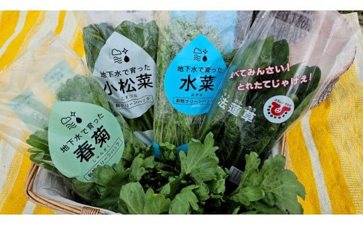 小松菜、水菜、ほうれんそう、春菊 各6束