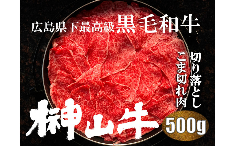【訳あり】希少黒毛和牛「榊山牛」こま切れ肉500g（250g×２）すき焼き しゃぶしゃぶ 肉じゃが 黒毛和牛 グルメ  おすすめ