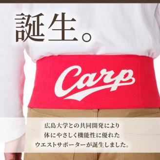 Carpベルト　2Lサイズ（90～95cm）