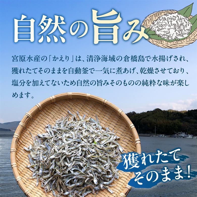 宮原水産 倉橋産かえり70g×3