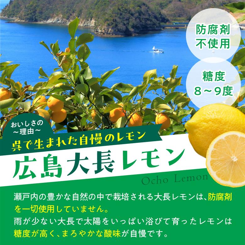 千福 ウキウキレモン酒500ml  ✕ 12本