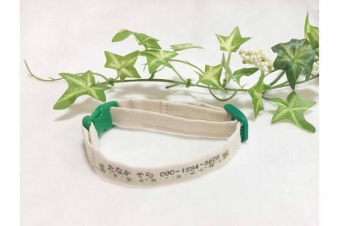 軽くて肌に優しい　猫介護期用首輪（グリーン）