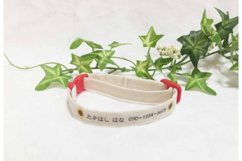 軽くて肌に優しい　猫介護期用首輪（レッド）