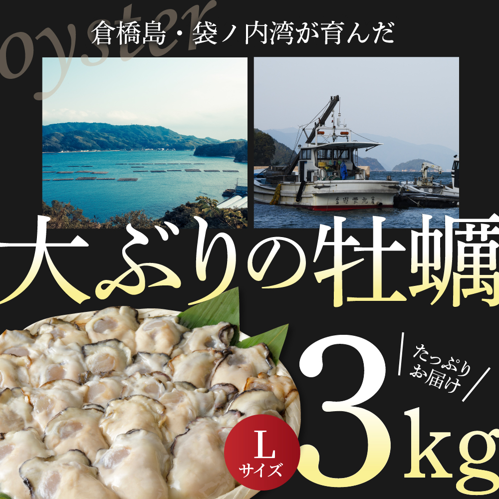 北吉水産 広島県産 冷凍 かき Lサイズ 3kg（1kg×3袋）