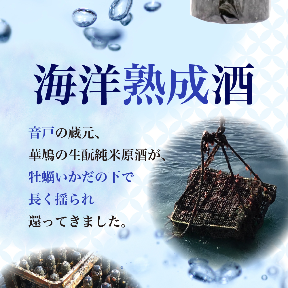 華鳩 海洋熟成酒 瀬戸の龍宮 火入れ純米原酒: 呉市ANAのふるさと納税