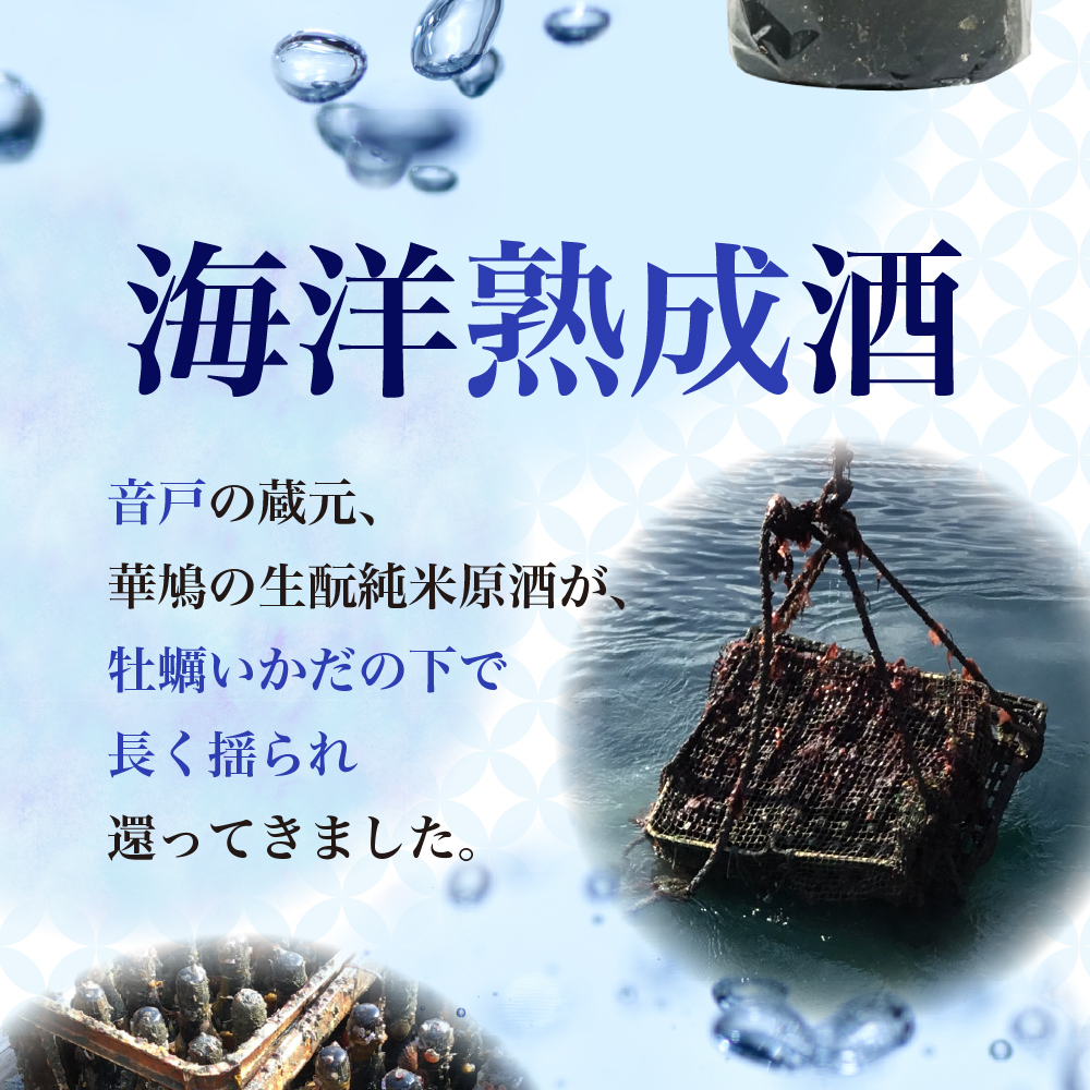 華鳩 海洋熟成酒 瀬戸の龍宮 純米生原酒