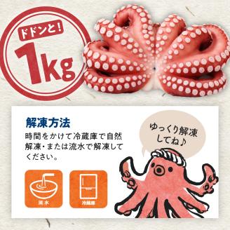 冷凍 酢だこ 1尾 (約1kg)