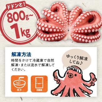 冷凍 茹でだこ 1尾 (約800g～1kg)