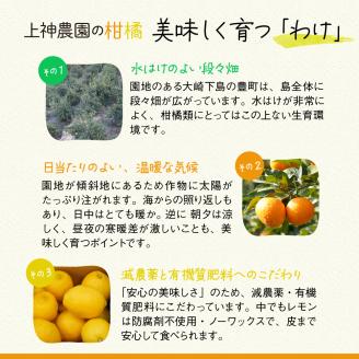 レ・モイスト「レモン花　化粧水＆乳液」（150・100ml）