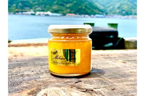 島の恵み 瀬戸内 柑橘ジャム 人気アソート 4本セット