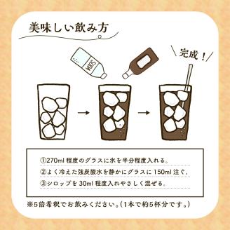 クラフトレモンコーラシロップ3本