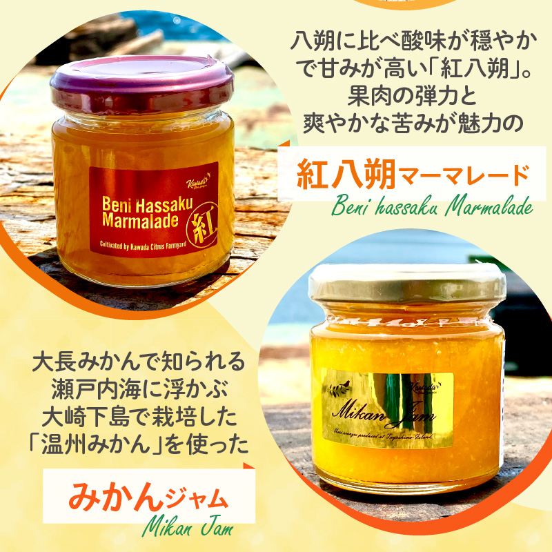 島の恵み 瀬戸内 柑橘ジャム 人気アソート 4本セット