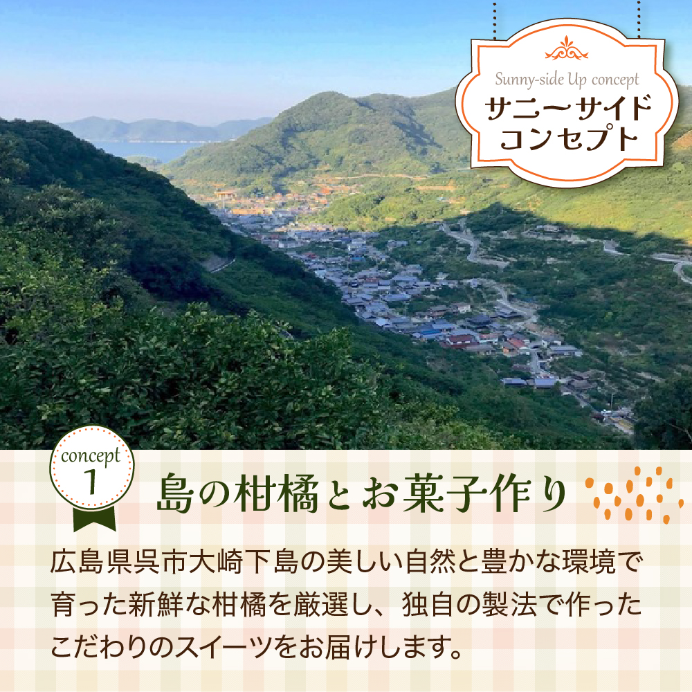 甘夏のパウンドケーキ 1本 広島県 呉市 ku210-001-r