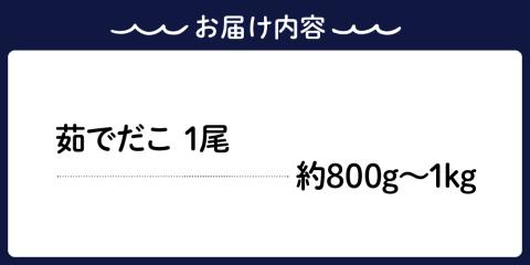 冷凍 茹でだこ 1尾 (約800g～1kg)