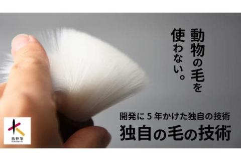 BEYOND　洗顔ブラシ