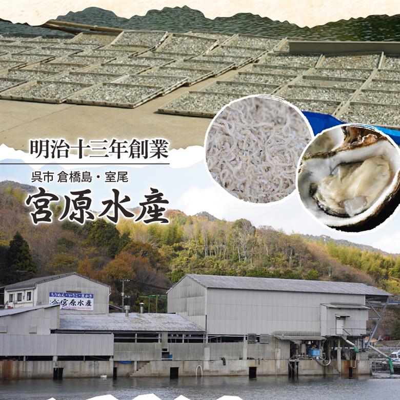 宮原水産 倉橋かえり 1kg