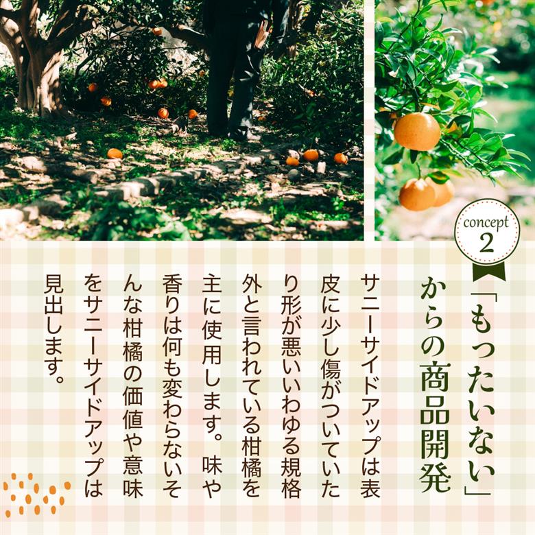 甘夏のパウンドケーキ 1本 広島県 呉市 ku210-001-r