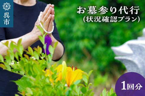 お墓参り代行　状況確認プラン