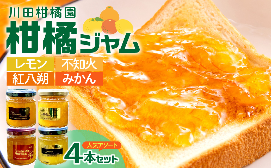 島の恵み 瀬戸内 柑橘ジャム 人気アソート 4本セット