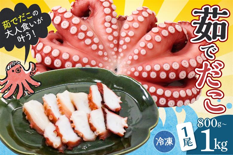 冷凍 茹でだこ 1尾 (約800g～1kg)