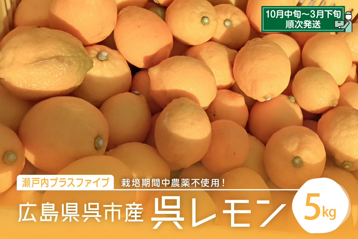 広島県呉市産 呉レモン 約5kg: 呉市ANAのふるさと納税