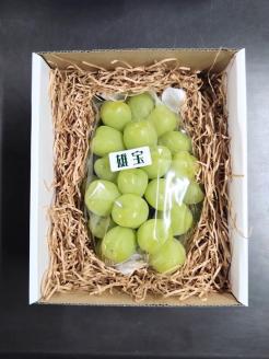 巨大粒葡萄 雄宝（ゆうほう）旬の竹原葡萄 1房 古田大果園 フルーツ 果物 広島県産 ※2024年8月下旬～9月下旬頃に順次発送予定 ※離島への配送不可