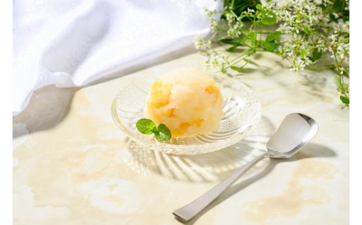 因島のはっさくシャーベット（未凍結）12個入り