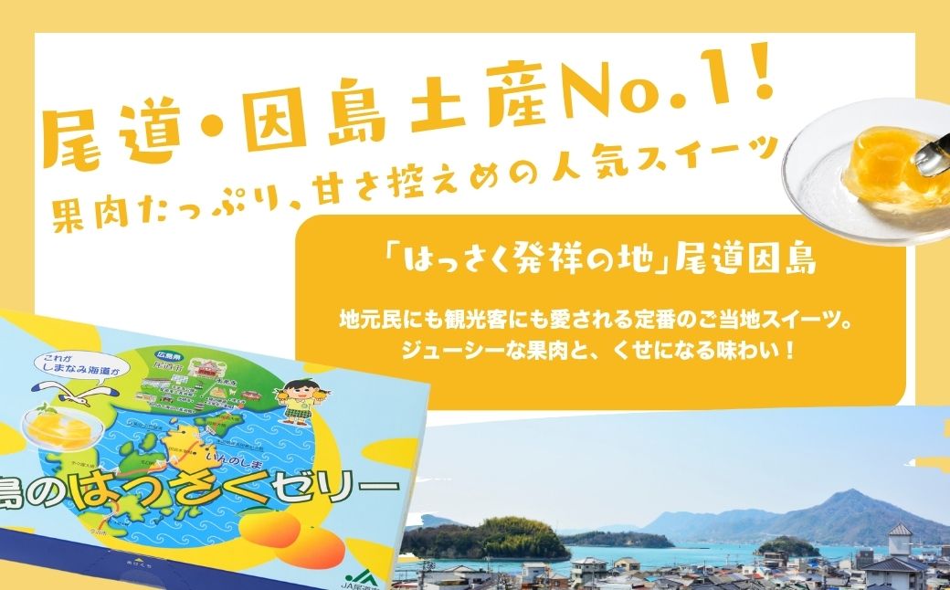 因島のはっさくゼリー72個入り