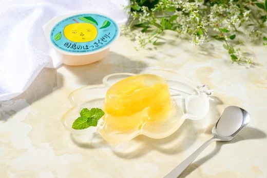 因島のはっさくゼリー(78g×12個) はっさく ゼリー フルーツゼリー 尾道 因島