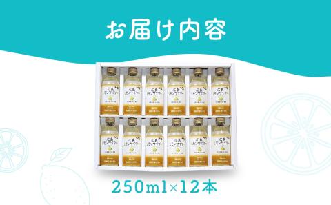 広島レモンサイダー 12本入り 1本250ml 広島県産レモン使用