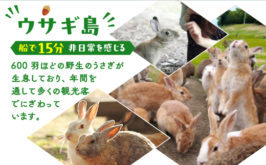 うさぎ島 ペア宿泊券（30,000円相当）