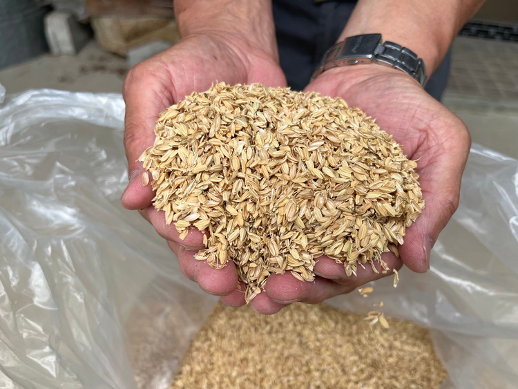 減農薬もみがら【約20kg】10kg×2袋