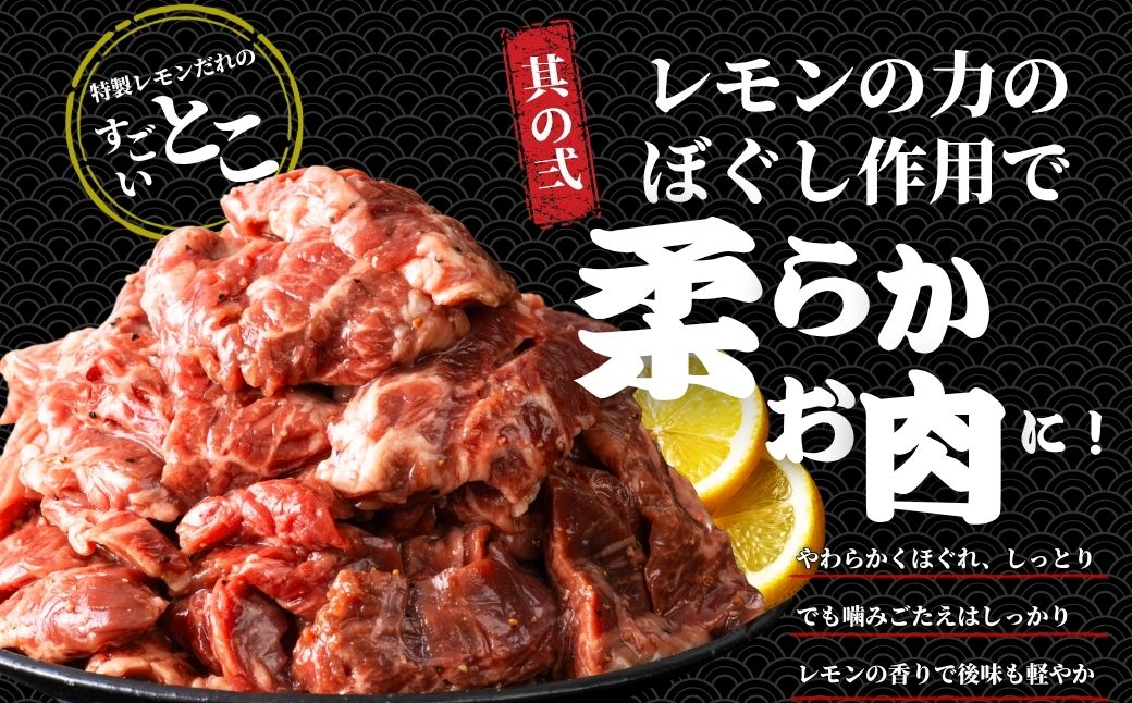 【瀬戸内レモン塩だれ】牛ハラミ 300g×1パック 尾野精肉店の牛ハラミ【肉 訳あり 小分け 真空パック 冷凍 牛肉 ハラミ 味付き 焼肉 BBQ 広島県 竹原市】※離島への配送不可