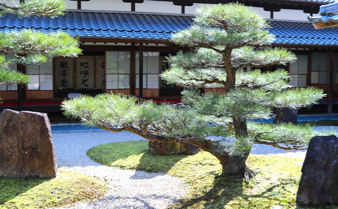 バンブーツアー 竹原歴史探訪コース ペアご利用券