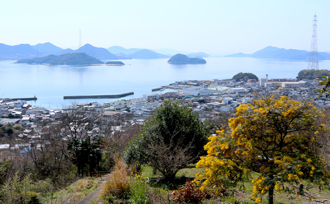 バンブーツアー 平忠盛の町、忠海の勝運寺の座禅と歴史コース ご利用券