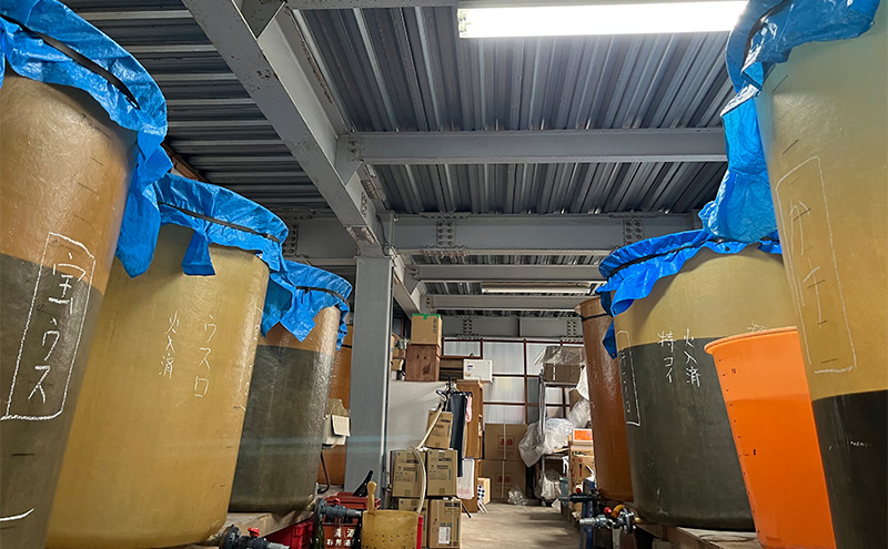 醤油 3本セット 忠海醤油 特吟醤油 1.0L ( 濃口 ・ 薄口 ) かけ醤油 1.0L 合成保存料 甘味料 不使用 竹原市