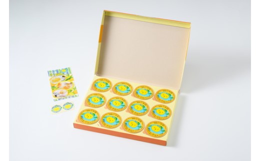 因島のはっさくシャーベット（未凍結）12個入り