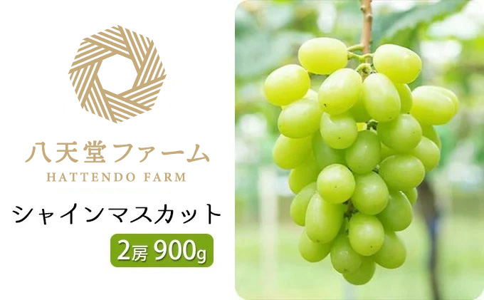 八天堂ぶどう園 シャインマスカット 2房 900g ノウフクJAS認証 化粧箱入り 果物 ぶどう　【 ぶどう フルーツ 果物 甘くて大きい 薄皮 糖度が高い 】 ※2025年8月中旬頃～9月下旬頃に順次発送予定