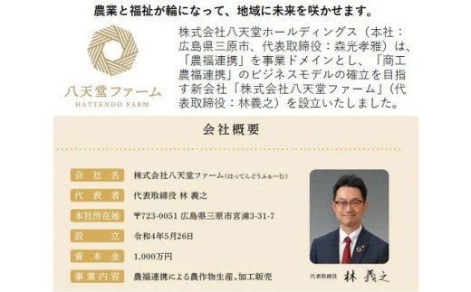 【共通返礼品】八天堂ファーム 果実なくりーむパンぶどう2種セット計16個（シャインマスカット8個・赤ぶどう8個）　※離島への配送不可
