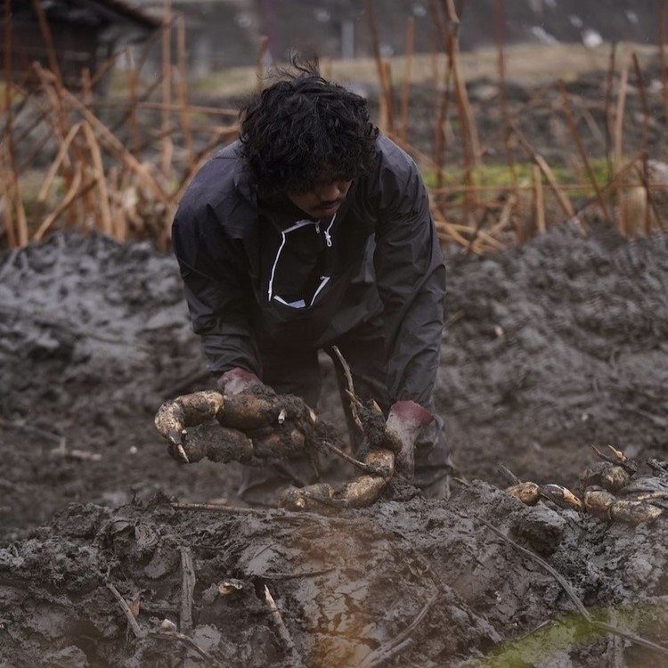 【農家直送！】れんこん 5kg ｜ レンコン 蓮根 産地直送 シャキシャキ 甘み 野菜 やさい 根菜 食品 広島県 竹原市　※2024年8月上旬頃より順次発送予定