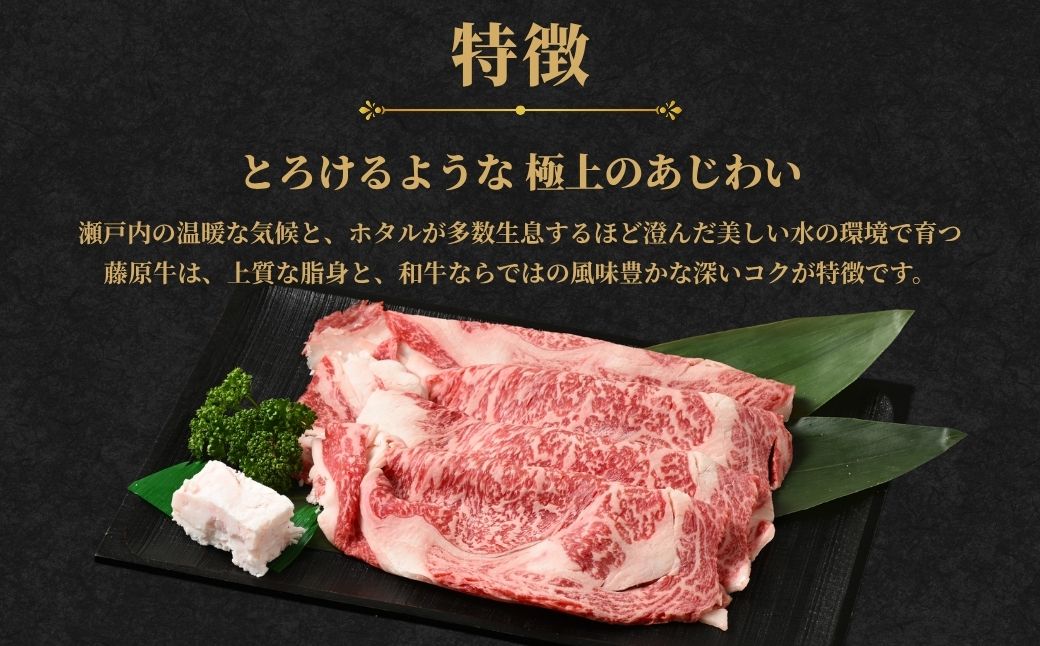 藤原牛 サーロインステーキ 5枚(1kg)｜ 牛肉 和牛 国産 ステーキ サーロイン 冷凍 希少 ※北海道・沖縄・離島への配送不可