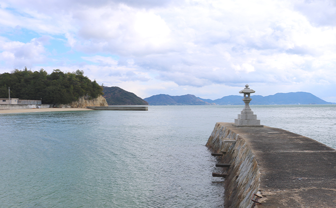 バンブーツアー 平忠盛・小早川水軍を感じろ！ 忠海歴史探訪コース ペアご利用券