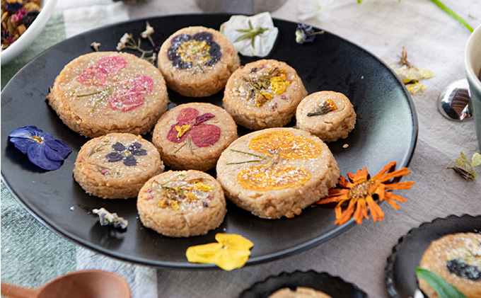 バンブーツアー 日本遺産の町「竹原で遊ぶ」歴史・海・グルメ・寺・神社・ワークショップを楽しむ 3,000円分クーポン券