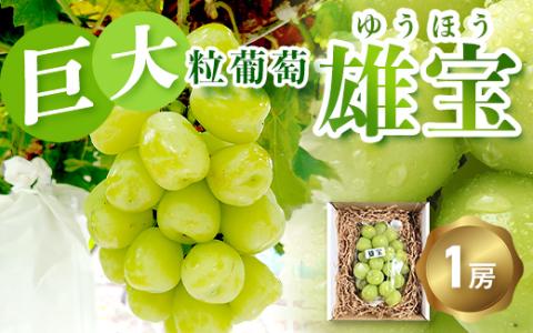 巨大粒葡萄 雄宝（ゆうほう）旬の竹原葡萄 1房 古田大果園 フルーツ 果物 広島県産 ※2024年8月下旬～9月下旬頃に順次発送予定 ※離島への配送不可