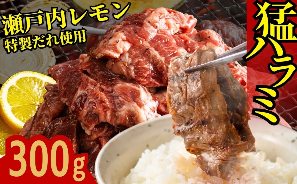 【瀬戸内レモン塩だれ】牛ハラミ 300g×1パック 尾野精肉店の牛ハラミ【肉 訳あり 小分け 真空パック 冷凍 牛肉 ハラミ 味付き 焼肉 BBQ 広島県 竹原市】※離島への配送不可