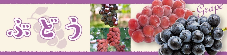 ぶどう
