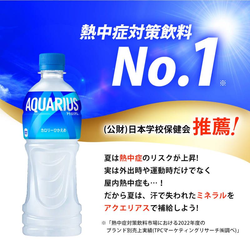 【6か月定期便】アクエリアス PET 2L×6本 最短3日で発送  スポーツドリンク スポーツ飲料 清涼飲料水 水分補給 ペットボトル 箱買い まとめ買い 備蓄 災害用 014045