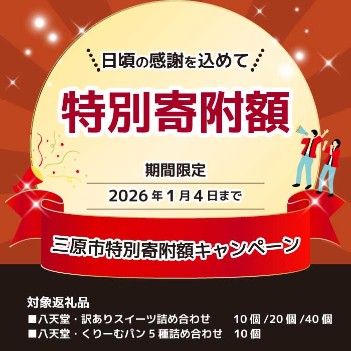 2026年1月4日まで≪特別寄附額≫【八天堂】とろけるくりーむパン 10個詰合せ (5種×2個) クリームパン 菓子パン スイーツ カスタード 生クリーム チョコレート 抹茶 フローズン 冷凍 ギフト すいーつ 015014