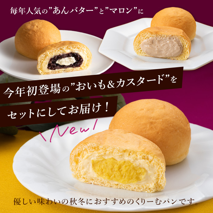 【八天堂】季節限定・先行受付 秋冬くりーむパン3種6個詰合せ お菓子 おやつ デザート スイーツ 冷凍 秋の味覚 015047