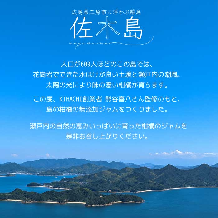 【熊谷喜八監修】 鷺島みかんじまジャム ３本セット（140g×3個） れもんジャム みかんジャム 青みかんジャム 広島 三原 佐木島 鷺島みかんじま レモン みかん フルーツ 果物 017035